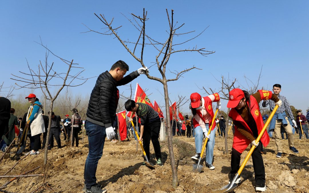 Plant a Tree Day
